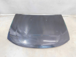 Капот для Renault Duster 2011>, OEM 651000987R - вид 1 (фото)