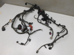 Проводка (коса) для Geely Coolray I 2020>, OEM 7010553400 - вид 3 (фото)