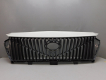 Решетка радиатора для GAC GS3 II 2024>, OEM 7110004CRV0000 - вид 1 (фото)