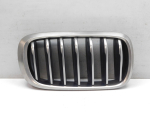 Решетка радиатора для BMW X6 F16 2014>, OEM 51137349388 - вид 1 (фото)