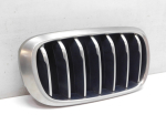Решетка радиатора для BMW X6 F16 2014>, OEM 51137349388 - вид 3 (фото)