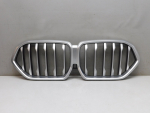 Решетка радиатора для BMW X6 G06 2019>, OEM 51137481386 - вид 1 (фото)