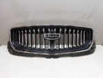 Решетка радиатора для Geely Monjaro 2021>, OEM 6013044700 - вид 1 (фото)