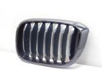 Решетка радиатора для BMW X3 G01 2017>, OEM 51138091725 - вид 2 (фото)