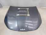 Капот для Kia K5 2020>, OEM 66400L2000 - вид 1 (фото)