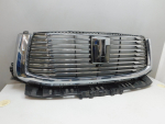 Решетка радиатора для Tank 500 2021>, OEM 5509200XKV3CA - вид 2 (фото)