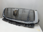 Решетка радиатора для Tank 500 2021>, OEM 5509200XKV3CA - вид 3 (фото)