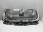 Решетка радиатора для Tank 500 2021>, OEM 5509200XKV3CA - вид 1 (фото)
