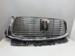 Решетка радиатора для Tank 500 2021>, OEM 5509200XKV3CA - вид 2 (фото)
