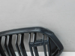 Решетка радиатора для BMW X6 G06 2019>, OEM 51138079731 - вид 3 (фото)