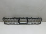 Решетка в бампер центральная для BMW X7 G07 2018>, OEM 51118069888 - вид 1 (фото)