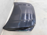 Капот для Tank 500 2021>, OEM 8402101XKV3AA - вид 2 (фото)