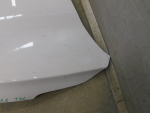 Капот для Exeed TXL 2020>, OEM 509000735AADYJ - вид 4 (фото)